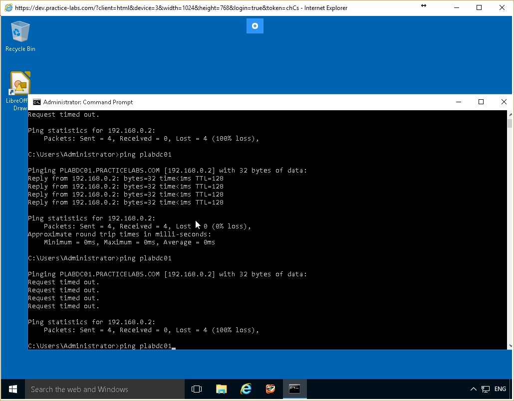 Figure 4.11 Screenshot of the PLABWIN10 desktop